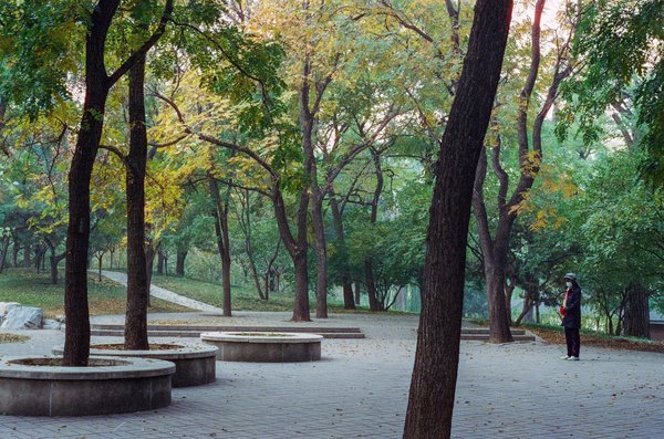 Rédacteur web nutrition : votre allié pour un contenu percutant